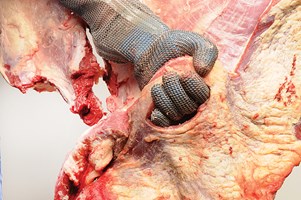 Meat Cut Spec Step 9